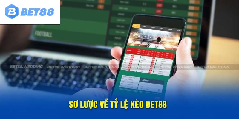 Sơ lược về tỷ lệ kèo BET88