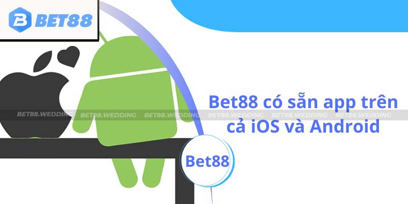 Tải app trên cả iOS và Android